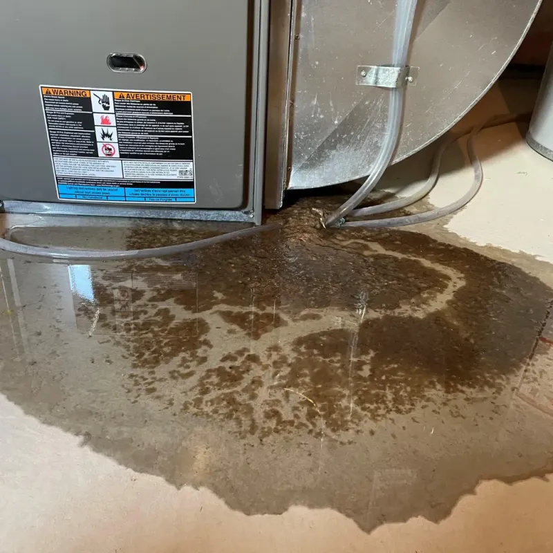 Appliance Leak Cleanup in Cedar Lake, IN